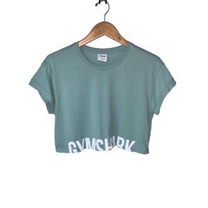 Gymshark Fraction Crop Top
